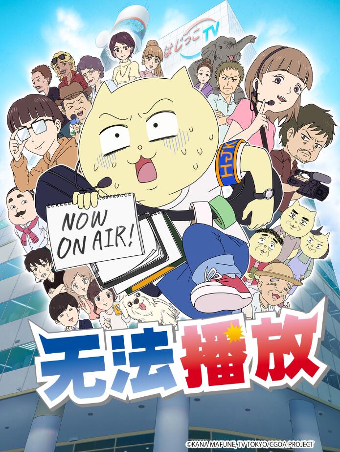 不能播放海报